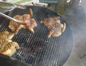 Spatchcocked Chicken with Oregano Spatchcocked Chicken with Oregano